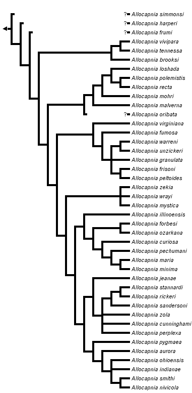 taxon links