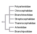 taxon links