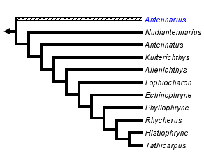 taxon links