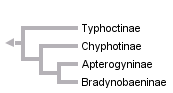 taxon links