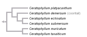 taxon links