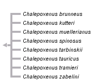 taxon links