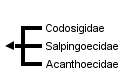 taxon links