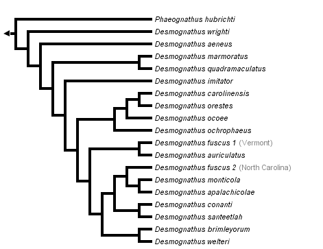 taxon links