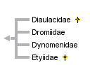 taxon links