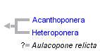 taxon links