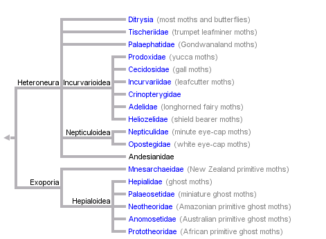 taxon links