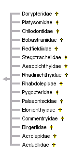 taxon links