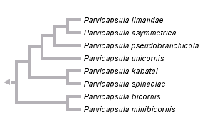 taxon links