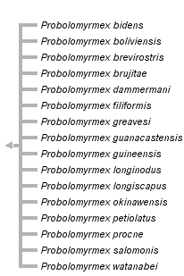 taxon links