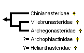 taxon links