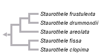 taxon links